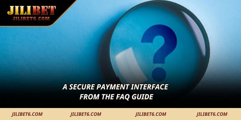 A secure payment interface from the FAQ guide