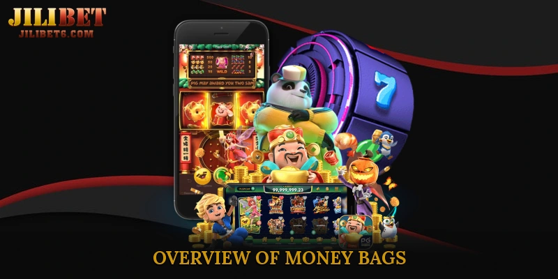Overview of Money Bags