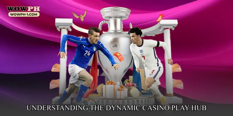 Understanding the Dynamic Casino Play Hub