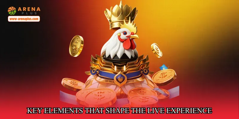 Key Elements That Shape the Live Experience