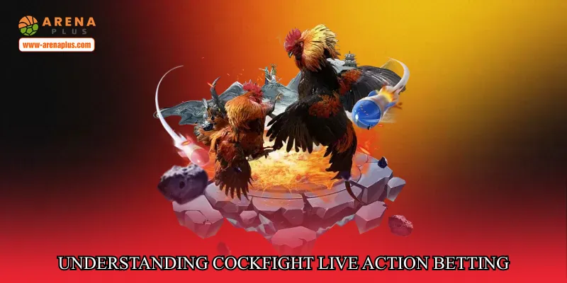 Understanding Cockfight Live Action Betting